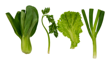 Set of fresh green vegetable isolated png