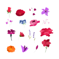 conjunto de flores aislado png