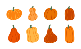 ensemble de mignonne citrouilles png