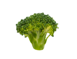 Pieces of Fresh broccoli isolated png