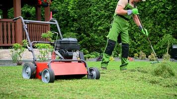 opruimen gras knipsels na gras maaien gazon. video