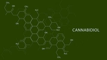 Chemical formulas of cannabidiol CBD cannabis molecule. Has antipsychotic effects. Science background design concept. Vector illustration.