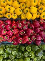 el rojo verde amarillo papika vegetales en mercado foto