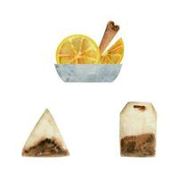 Watercolor hand drawn illustration. Tea bags, lemon slices and cinnamon sticks in porcelain saucer. Isolated object on white background. Invitations, cafe, restaurant food menu, print, website, cards vector