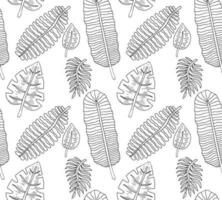 seamless pattern tropical leafs hand drawn vector