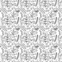 vector doodle botanical seamless pattern hand drawn