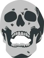 Skull design and skull vector art