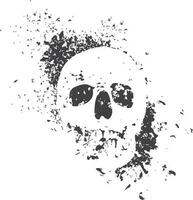 Skull design and skull vector art