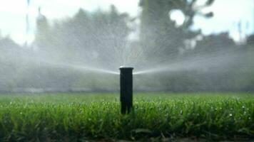 Automatic Grass Sprinkler In Backyard. video