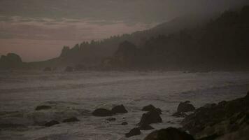 toneel- mistig noordelijk Californië sequoia kust strand zonsondergang video