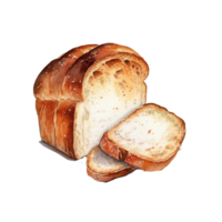 a Watercolor hand-drawn sketch illustration of bread with slices isolated png