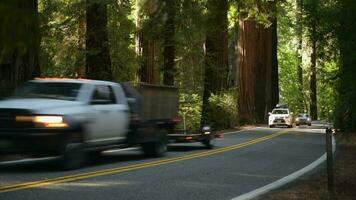 oktober 12, 2021. humboldt provincie Californië sequoia snelweg 101 video