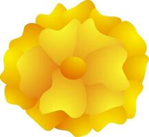 Marigold flower in yellow color. vector