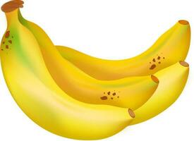 Realistic banana in yellow color. vector