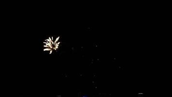 vistoso fuegos artificiales en el noche cielo a ciudad día festival, novosibirsk, Rusia video