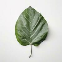 Verdant green leaf isolated on white background, generate ai photo