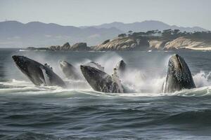 un grupo de jorobado ballenas incumplimiento fuera de el Oceano con un costero paisaje en el fondo, generar ai foto