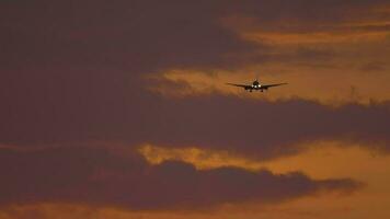 Widebody airplane approaching for landing at the Phuket airport against sunset sky. View from the top floor of the hotel near airport video