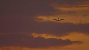 Widebody airplane approaching for landing at the Phuket airport against sunset sky. View from the top floor of the hotel near airport video