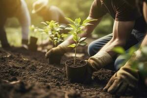 personas plantando arboles o trabajando en comunidad jardín promoviendo local comida producción y habitat restauracion, concepto de sustentabilidad y comunidad compromiso , generar ai foto