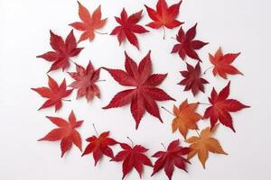 red maple leaves isolated on white background, generate ai photo