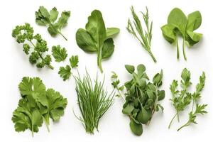 Collection of fresh herb leaves. arugula Spices, herbs on isolated on white background, generate ai photo