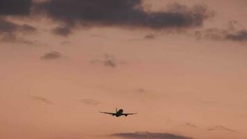 passagier Jet onherkenbaar passagiersvliegtuig vliegt in de zonsondergang winnen hoogte. vliegtuig in vlucht video
