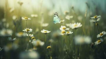 beautiful and colourful butterfly fluttering over the delicate Bellamy flowers daisies on a Sunny summer day, generate ai photo