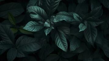 Abstract dark green surface of leaves natural floral background, generate ai photo