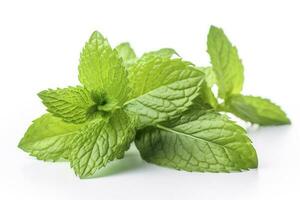 fresh green mint leaves isolated on white background, top view. Flat lay, generate ai photo