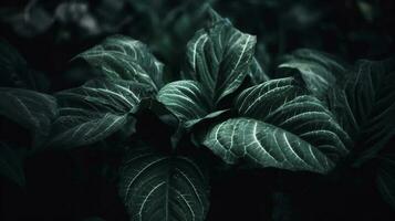 Abstract dark green surface of leaves natural floral background, generate ai photo