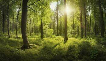 Beautiful rays of sunlight in a green forest, generate ai photo