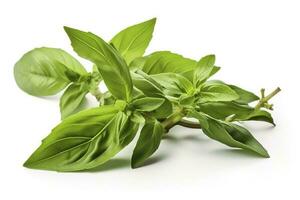 Fresh green organic basil and rosemary leaves isolated on white background, generate ai photo