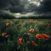 Dramatic Poppy flowers field. Anzac day banner. Remember for Anzac, Historic war memory. Anzac background. Poppy field, Remembrance day. , generate ai photo