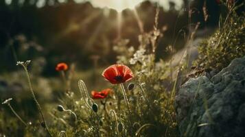 A stunning photo captures the golden hour in a field of radiant red poppies, symbolizing the beauty, resilience, and strength of nature, generate ai