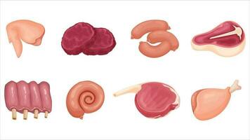 Set of eight different types of raw meat and chicken meat. vector