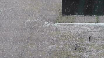 que cae granizo en un bicicleta en un Ventoso día con escarcha y lluvia espectáculo extremo clima fenómeno meteorología como impredecible y peligroso frío granizada seguro como peligro para verde movilidad video