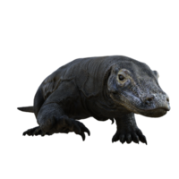 komodo isolato 3d rendere png