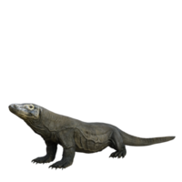 Komodo isolated 3d render png