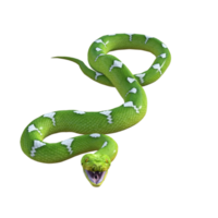 Schlange Python isoliert 3d png