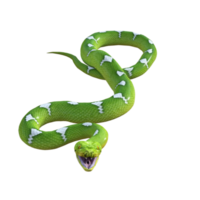 serpiente pitón aislado 3d png