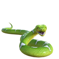 snake python isolated 3d png