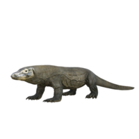 Komodo isolated 3d render png