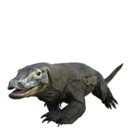 komodo geïsoleerd 3d geven png