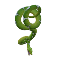 snake python isolated 3d png