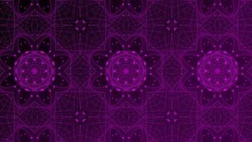 pink abstract kaleidoscope flora pattern background video