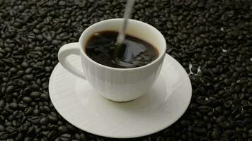 mano participación café emocionante cuchara en blanco taza en mesa. negro café en blanco taza aislado en antecedentes de asado café frijoles. video