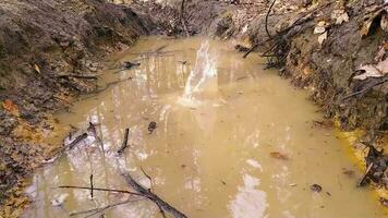 spruzzi acqua nel un' pozzanghera nel lento movimento su un' piovoso giorno nel un' foresta avventura per godere il pioggia e fango con spruzzo e pozzanghere come all'aperto avventura e all'aperto attività con famiglia e amici video