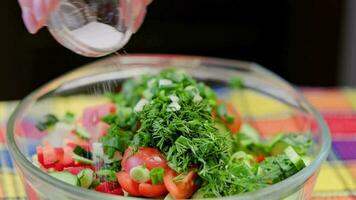 mujer añadir sal y pimienta en cuenco con vegetal ensalada y mezcla eso con cuchara video