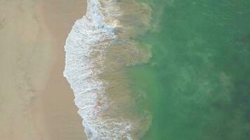 aereo superiore Visualizza fuco 4k metraggio di koggala spiaggia, onde e oceano, sri lanka. video